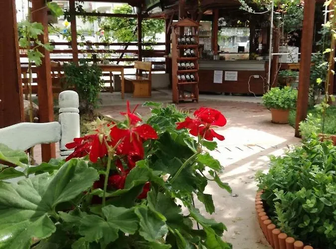 Apartmán студио S *