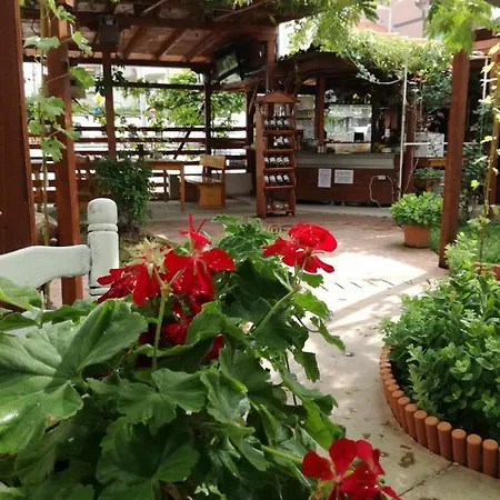 Appartamento студио S *